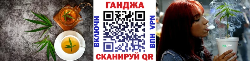 OMG вход Шацк Cannafood конопля