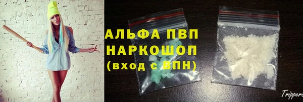 дмт Белокуриха