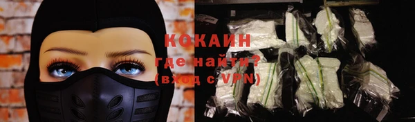 дмт Белокуриха