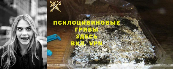 дмт Белокуриха