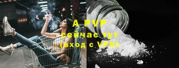 дмт Белокуриха