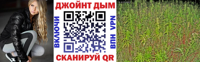 Каннабис ГИДРОПОН  где найти   Шацк 